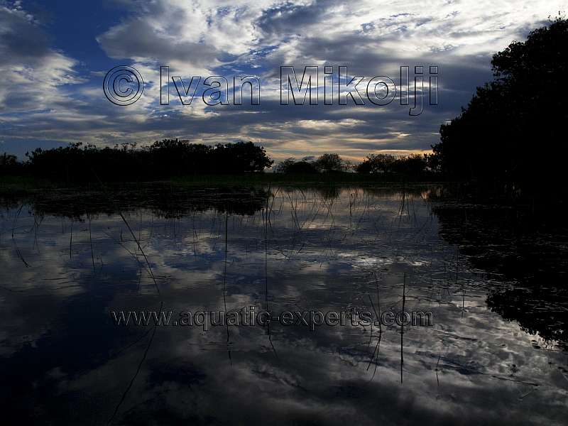 FLOODED AREAS ABOVE WATER